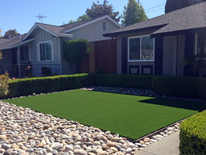 Best Artificial Grass Summertown, Tennessee Backyard Deck Ideas, Front Yard Landscaping Ideas