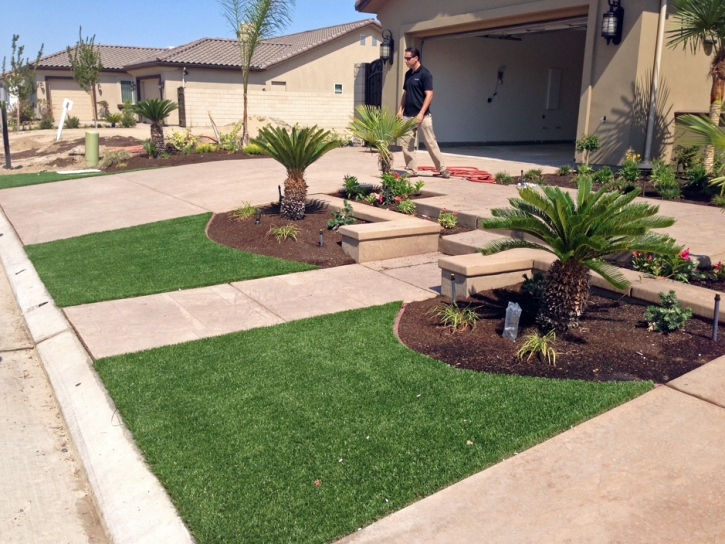 Best Artificial Grass Waynesboro, Tennessee Design Ideas, Front Yard Design