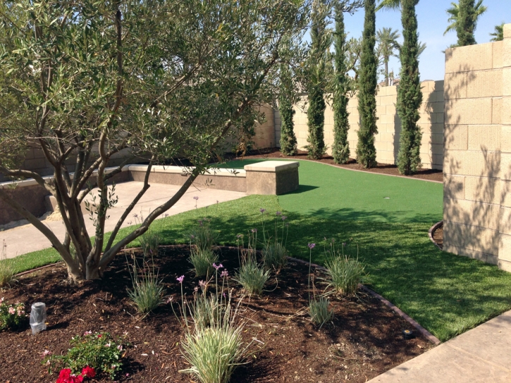 Best Artificial Grass Winchester, Tennessee Design Ideas, Backyards