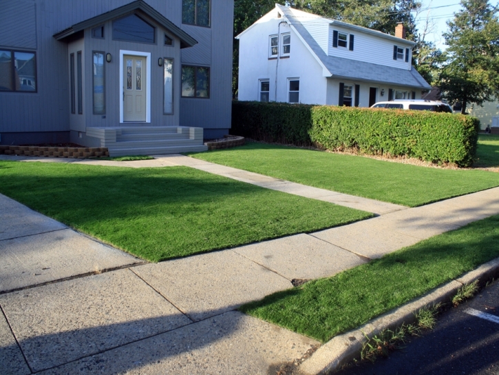 Fake Grass Carpet Cedar Hill, Tennessee Design Ideas, Small Front Yard Landscaping