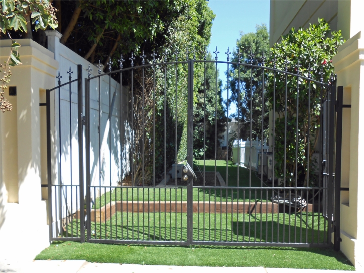 Fake Grass Carpet Gates, Tennessee Gardeners, Front Yard Landscaping Ideas