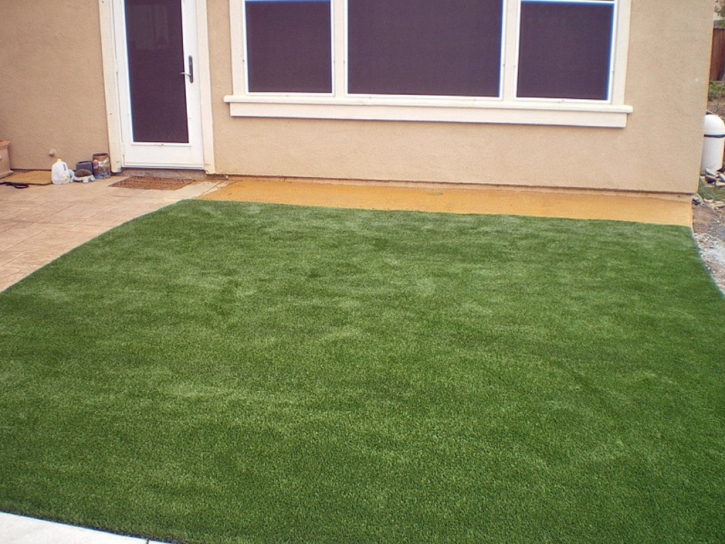 Fake Grass Enville, Tennessee Rooftop, Backyard Ideas