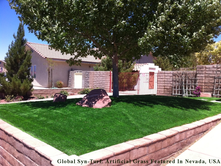 Fake Grass La Vergne, Tennessee Lawn And Garden, Front Yard Ideas