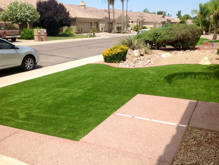 Fake Grass Lakewood, Tennessee Garden Ideas, Landscaping Ideas For Front Yard