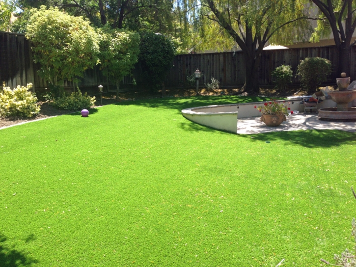 Fake Grass Lobelville, Tennessee Garden Ideas, Backyard Designs