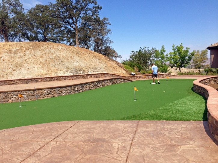 Fake Grass Ridgely, Tennessee Putting Green, Backyard Ideas