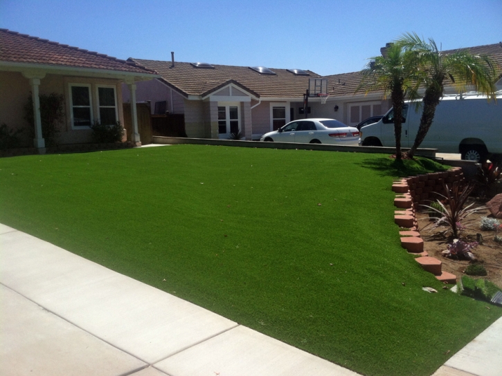 Fake Grass South Pittsburg, Tennessee Landscape Ideas, Landscaping Ideas For Front Yard