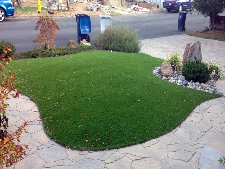 Fake Lawn Coalmont, Tennessee Backyard Playground