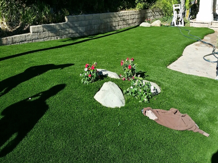 Fake Lawn Fair Garden, Tennessee Landscaping, Small Front Yard Landscaping