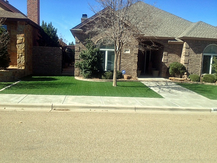 Fake Lawn Smithville, Tennessee Backyard Playground, Small Front Yard Landscaping