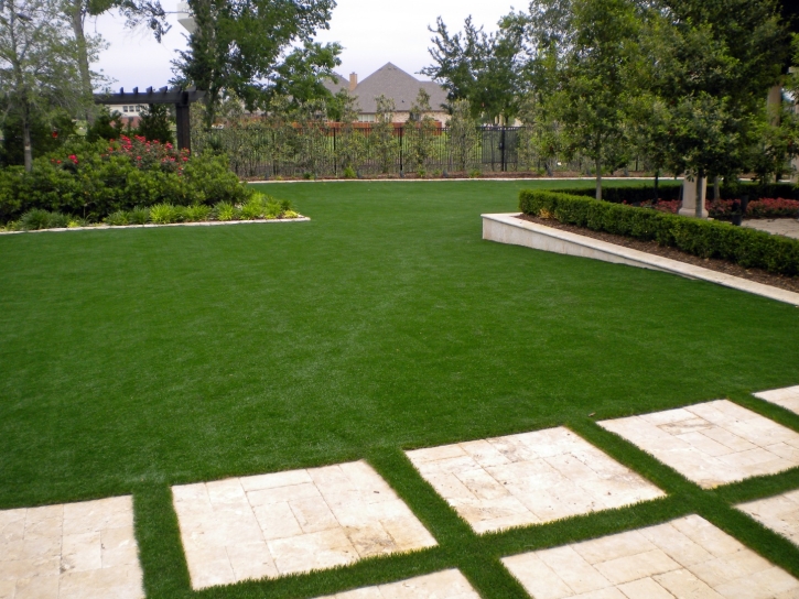 Fake Turf Adams, Tennessee Landscape Ideas, Backyards