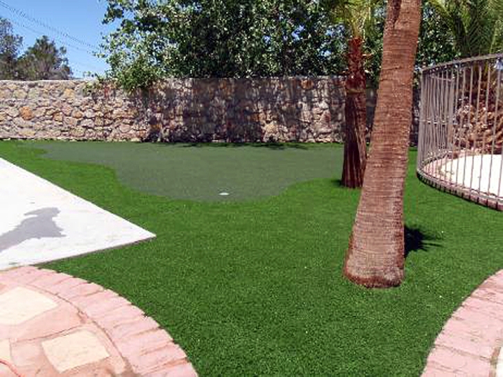 Fake Turf Atoka, Tennessee Garden Ideas, Backyard Landscaping Ideas