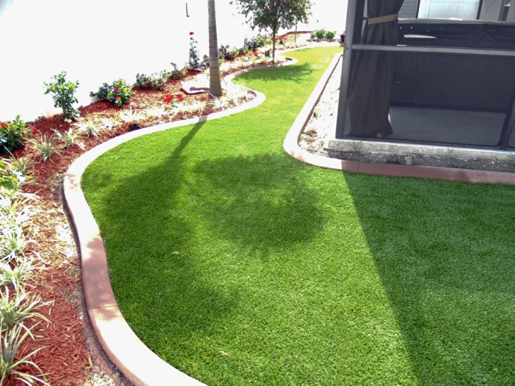 Fake Turf East Brainerd, Tennessee Garden Ideas, Backyard Landscaping