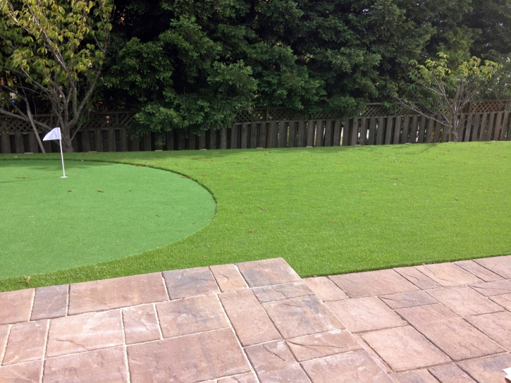 Fake Turf Eva, Tennessee Indoor Putting Greens, Backyard Design