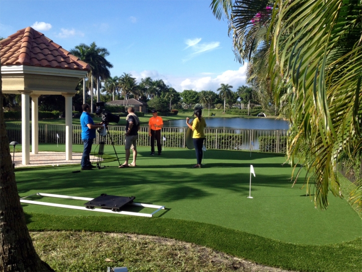 Fake Turf Gallatin, Tennessee Backyard Putting Green, Backyard Design