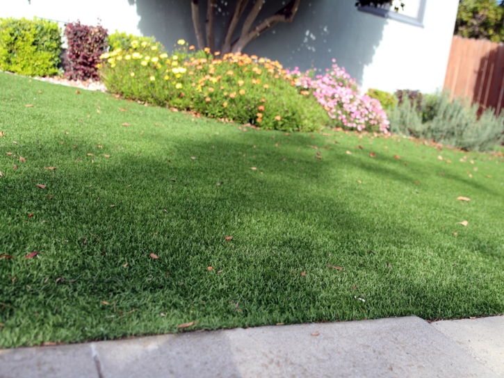 Fake Turf Lexington, Tennessee Home And Garden, Landscaping Ideas For Front Yard