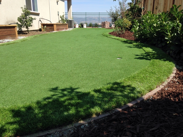 Fake Turf Mount Carmel, Tennessee Roof Top, Backyard Garden Ideas