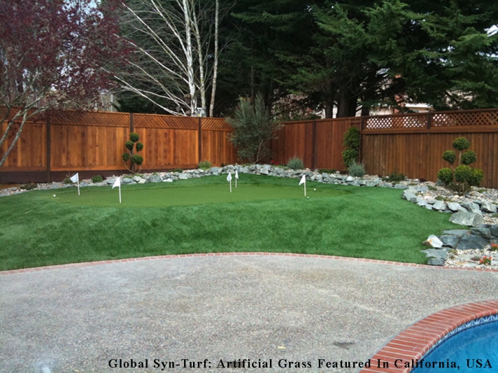 Fake Turf Mount Juliet, Tennessee Home And Garden, Backyard Design