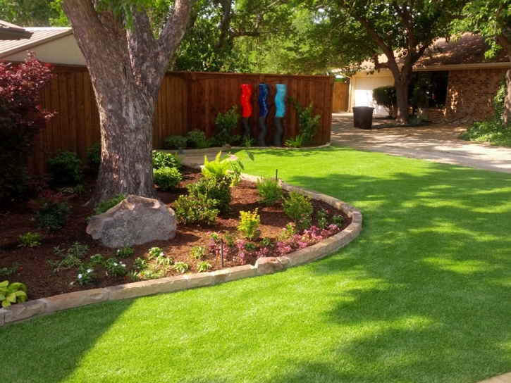 Fake Turf Robbins, Tennessee Design Ideas, Backyard Landscape Ideas