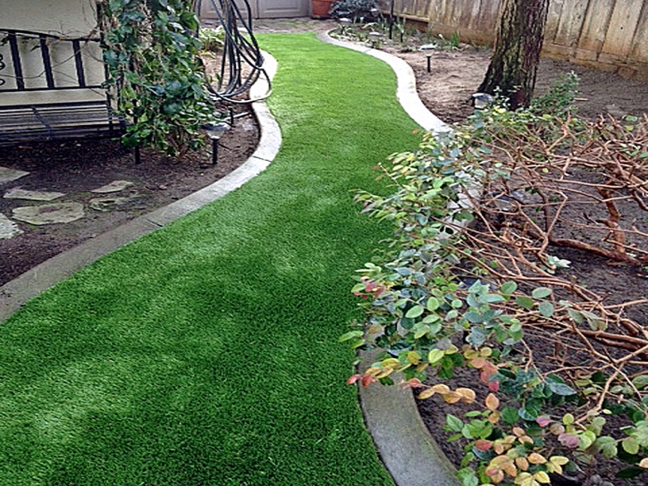 Fake Turf Sweetwater, Tennessee Landscape Ideas, Backyard Landscaping Ideas