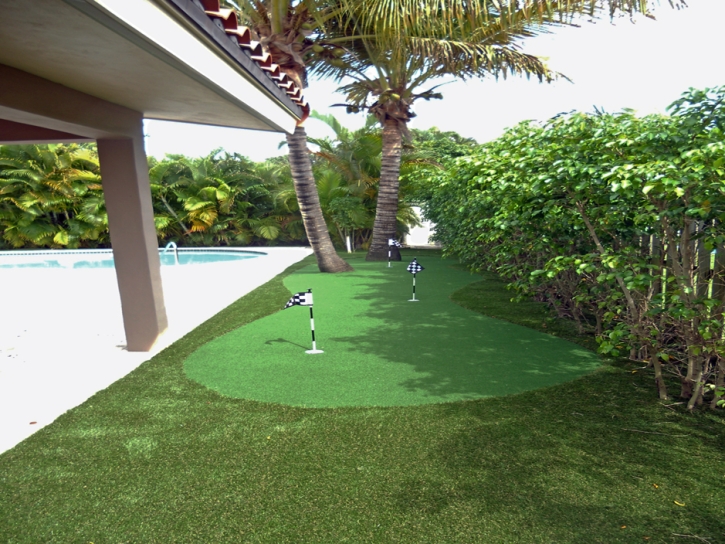 Fake Turf Wartburg, Tennessee Design Ideas, Swimming Pool Designs