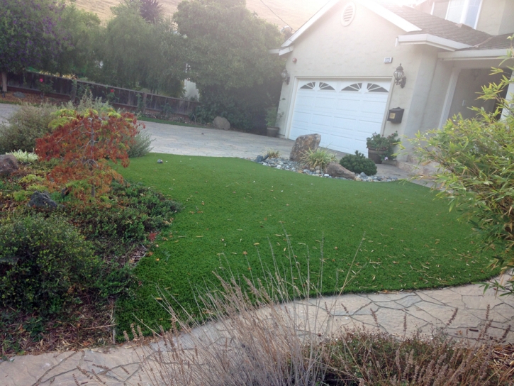 Faux Grass Brighton, Tennessee Home And Garden, Landscaping Ideas For Front Yard