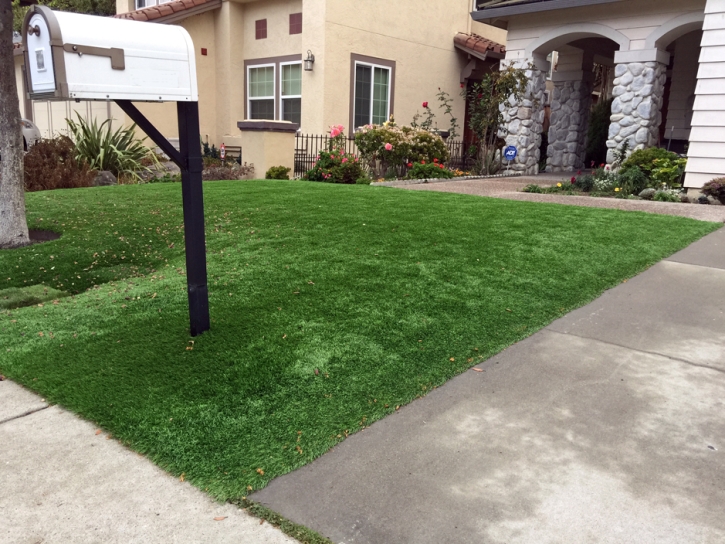 Faux Grass Gleason, Tennessee Garden Ideas, Front Yard Ideas