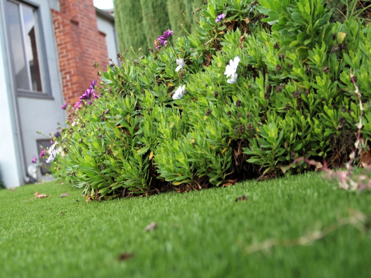 Faux Grass Jasper, Tennessee City Landscape, Front Yard