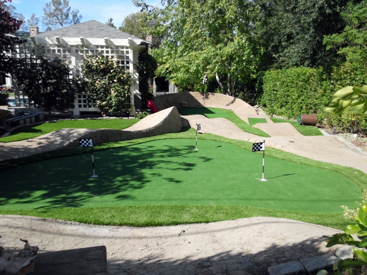 Faux Grass Rogersville, Tennessee Best Indoor Putting Green, Backyard Designs