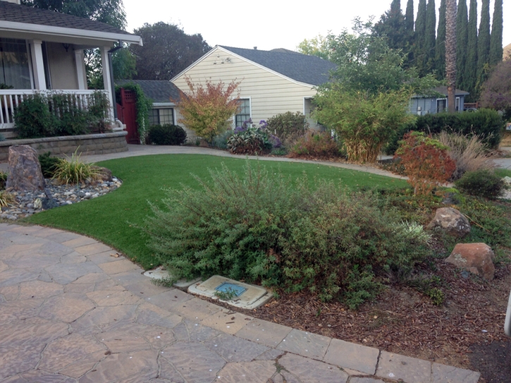 Faux Grass Tennessee Ridge, Tennessee Landscape Design, Small Front Yard Landscaping