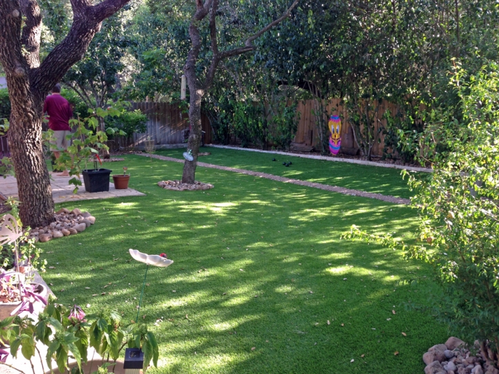 Grass Carpet Brownsville, Tennessee Lawn And Landscape, Backyard Ideas