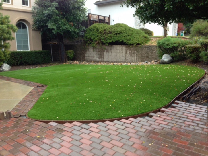 Grass Carpet Gruetli-Laager, Tennessee Landscaping Business, Front Yard Landscape Ideas