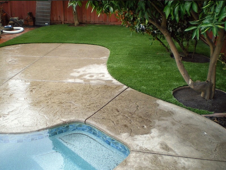 Grass Carpet McMinnville, Tennessee Lawn And Garden, Backyard Ideas