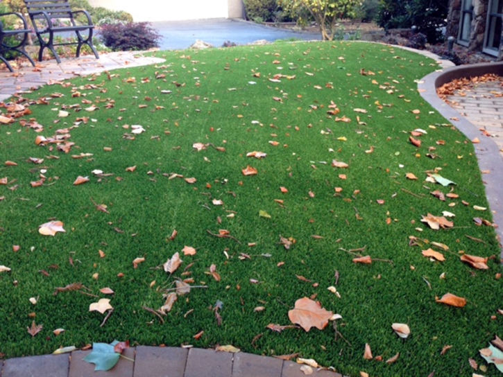 Grass Carpet Pleasant Hill, Tennessee Lawn And Landscape, Front Yard Landscape Ideas