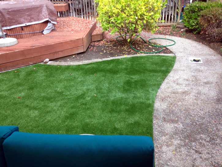 Grass Turf Clarkrange, Tennessee Garden Ideas, Small Backyard Ideas