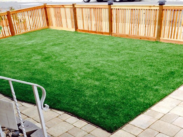 Grass Turf Copperhill, Tennessee Landscape Ideas, Backyard Landscape Ideas