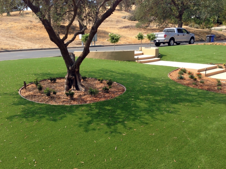 Grass Turf Hunter, Tennessee Home And Garden, Front Yard