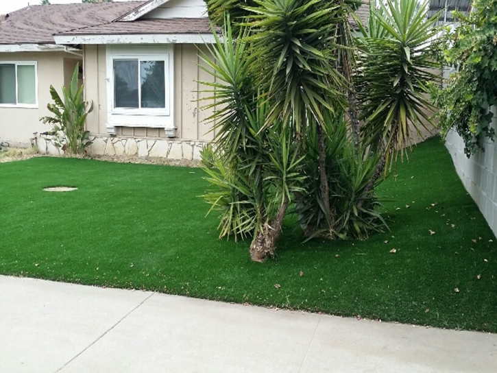 Grass Turf Parrottsville, Tennessee Landscaping Business, Front Yard