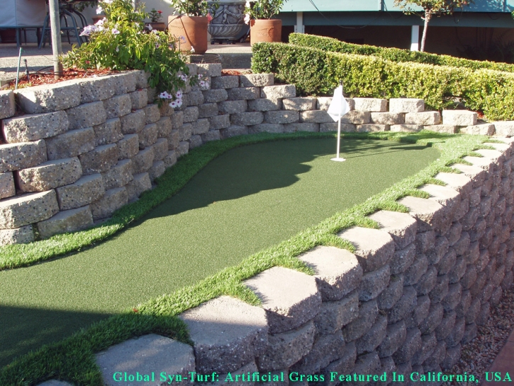 Green Lawn Forest Hills, Tennessee Putting Green, Backyard