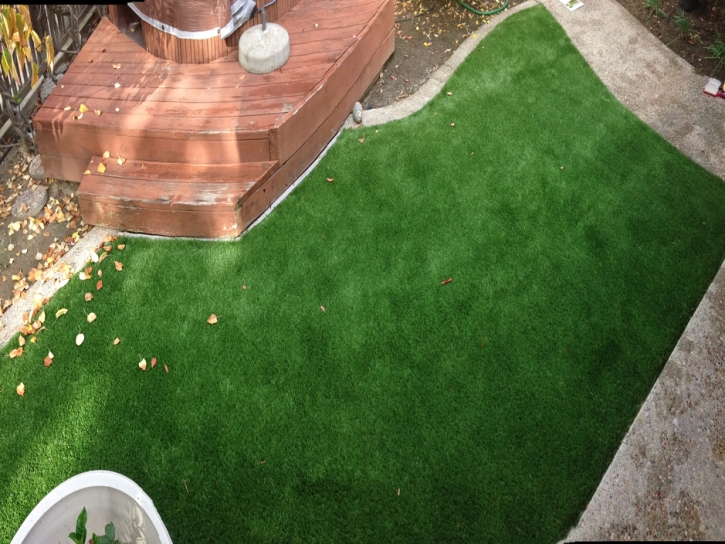 How To Install Artificial Grass Crab Orchard, Tennessee Gardeners, Small Backyard Ideas