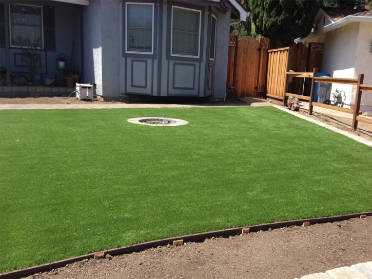 How To Install Artificial Grass Farragut, Tennessee Gardeners, Backyard Design