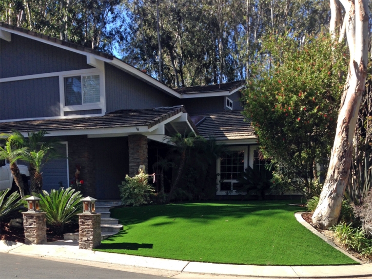 Installing Artificial Grass Harrison, Tennessee Landscape Design, Front Yard Landscaping