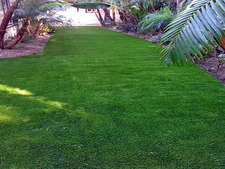 Installing Artificial Grass Sale Creek, Tennessee Lawns, Backyard Designs