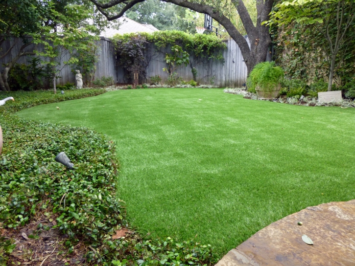 Installing Artificial Grass Spring City, Tennessee Home And Garden, Backyard Makeover