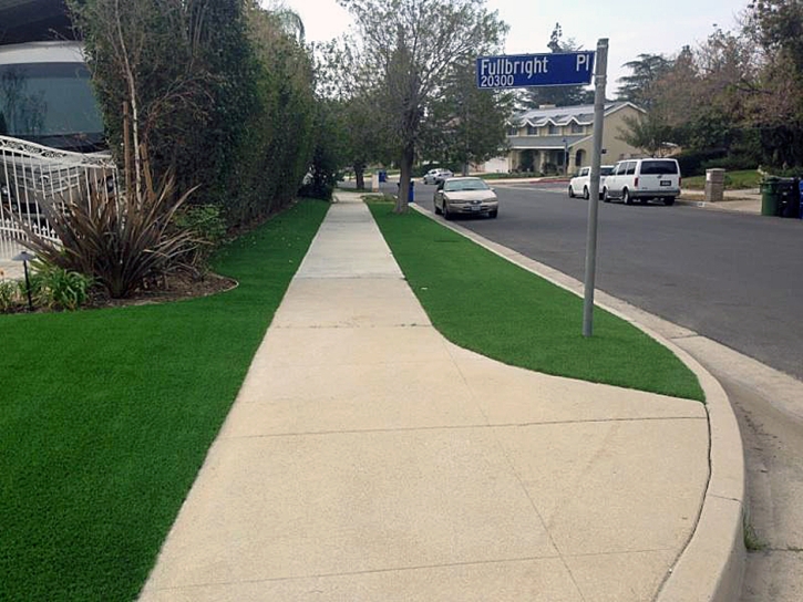 Installing Artificial Grass Walnut Grove, Tennessee Rooftop, Front Yard