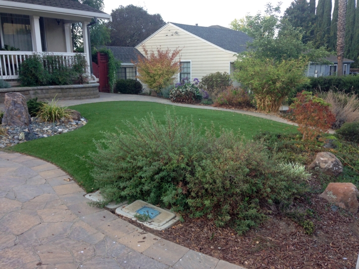 Outdoor Carpet Dunlap, Tennessee Landscape Design, Front Yard Ideas