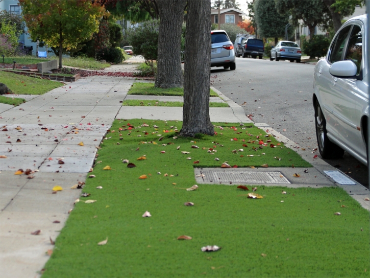 Outdoor Carpet Olivet, Tennessee Lawns, Front Yard Ideas