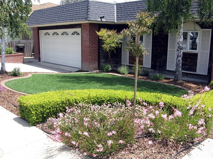 Outdoor Carpet Riceville, Tennessee Rooftop, Front Yard Landscaping Ideas