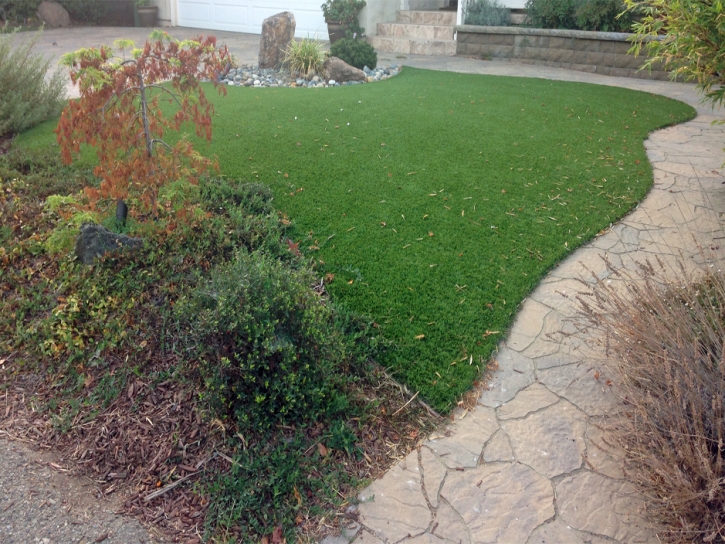 Plastic Grass Powells Crossroads, Tennessee Landscaping Business, Backyard Design