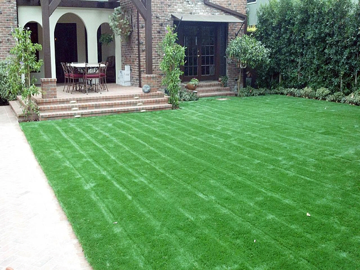 Synthetic Grass Cost Enville, Tennessee Landscape Ideas, Front Yard Ideas